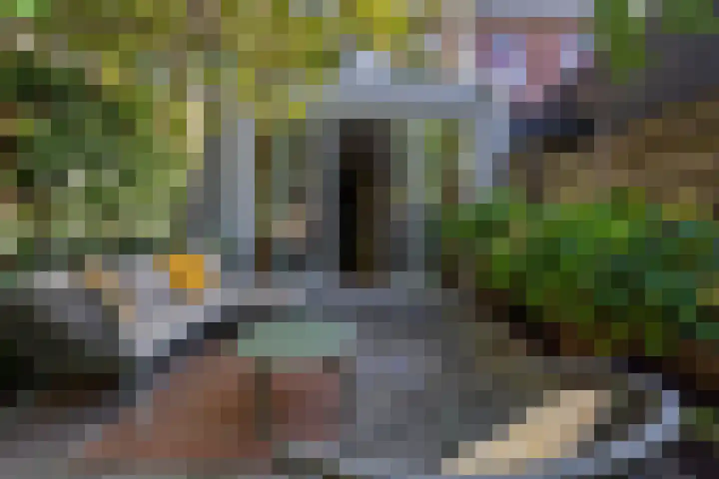Papaverstraat 7 Utrecht thumbnail 23