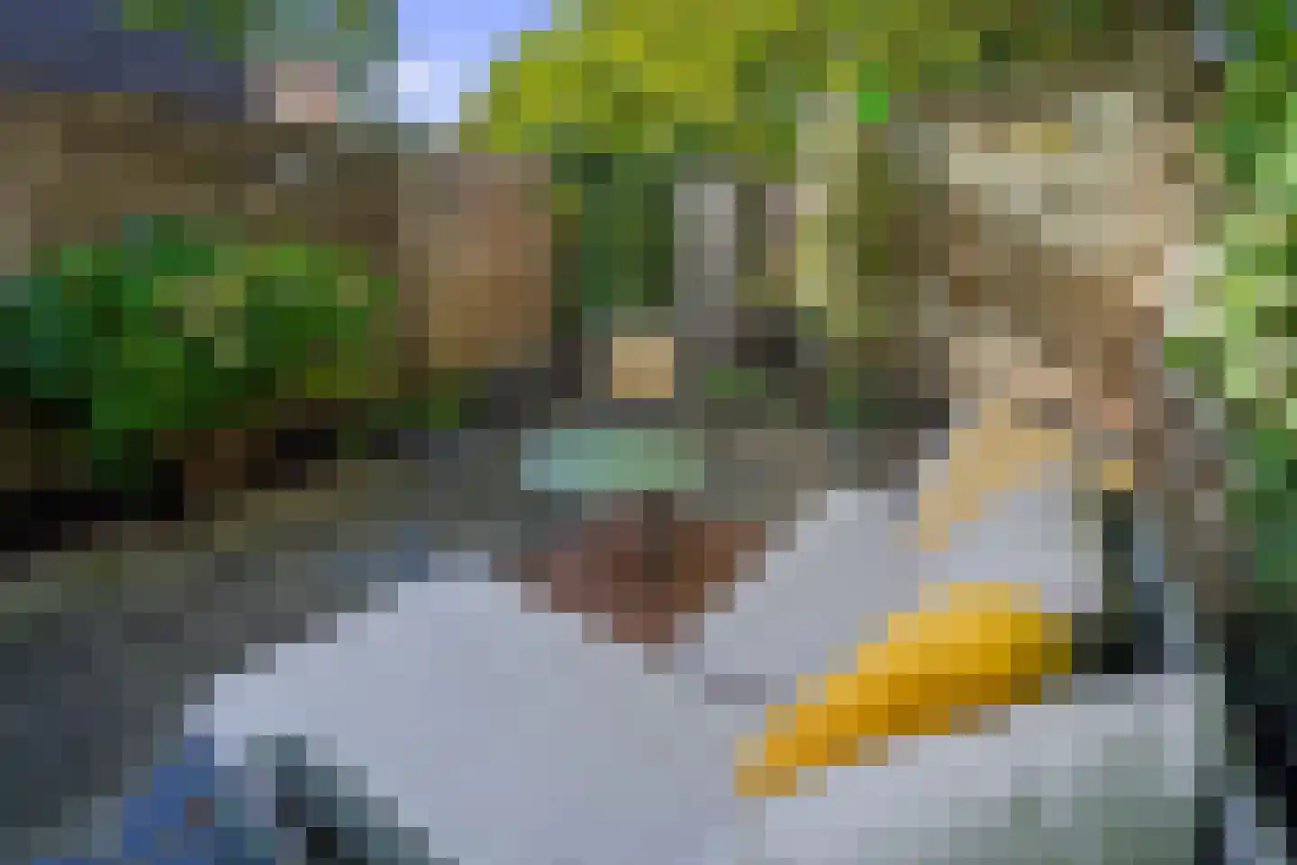 Papaverstraat 7 Utrecht thumbnail 25