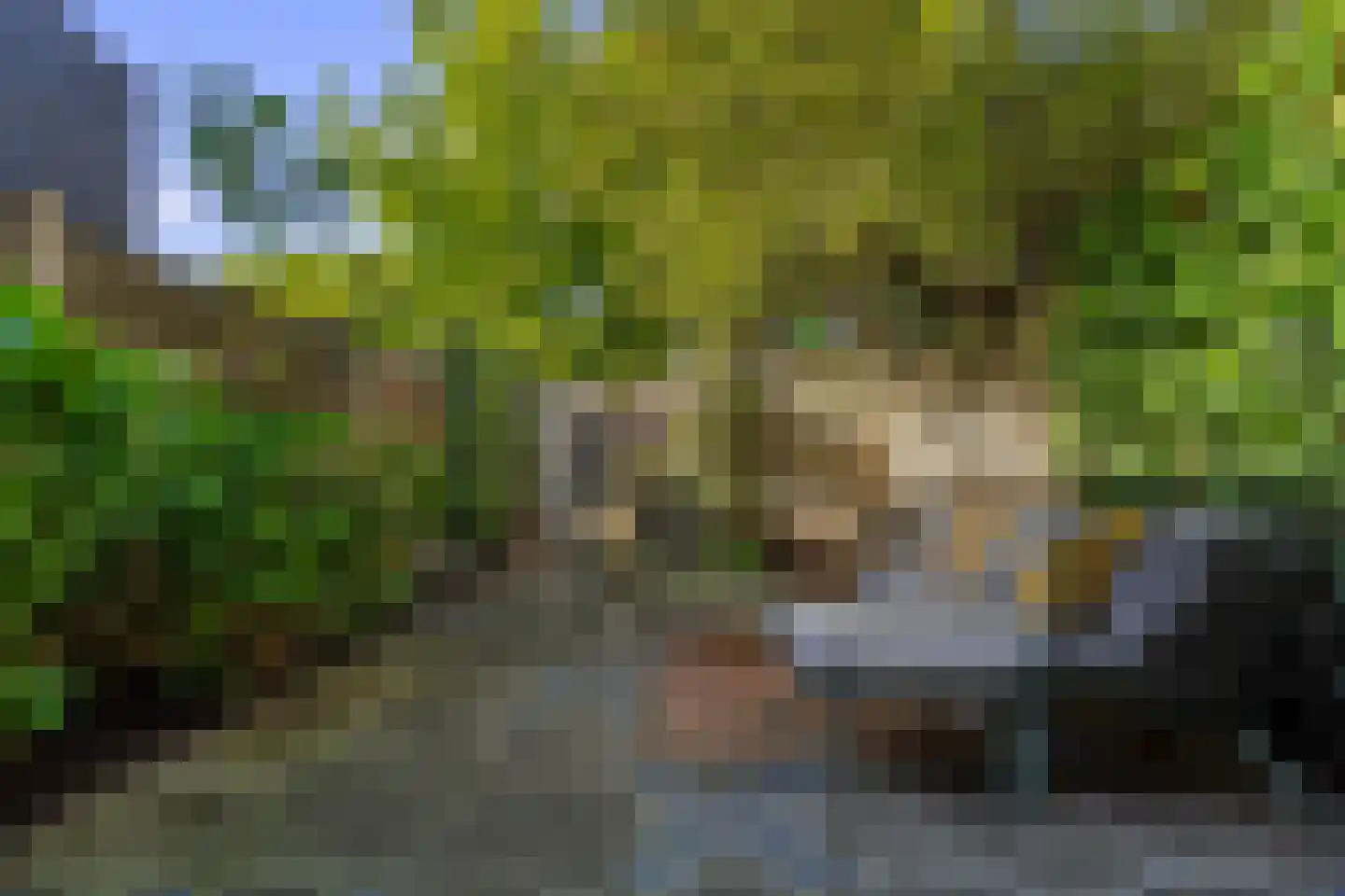 Papaverstraat 7 Utrecht thumbnail 4