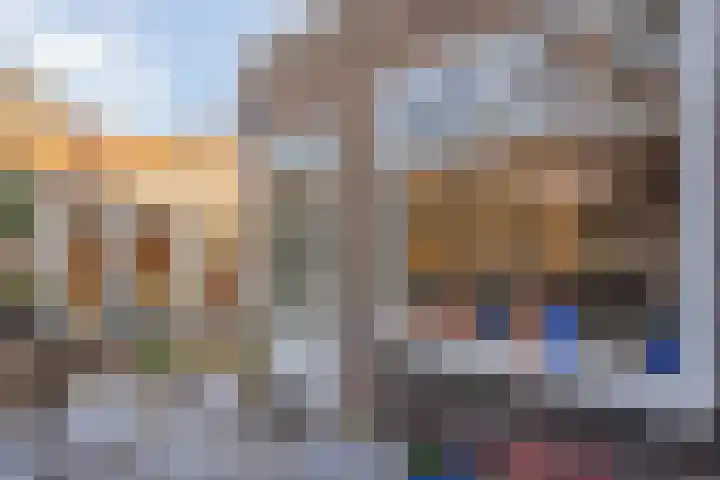 Papaverstraat 7 Zwolle thumbnail 26