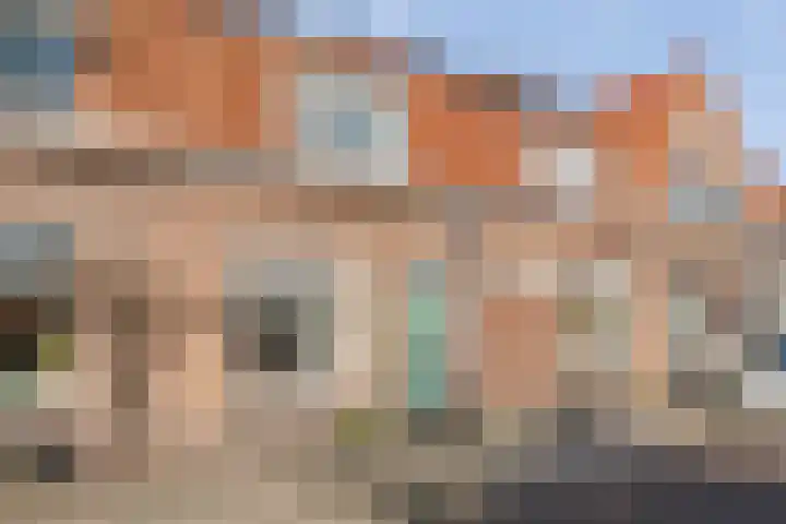 Papaverstraat 7 Zwolle thumbnail 34