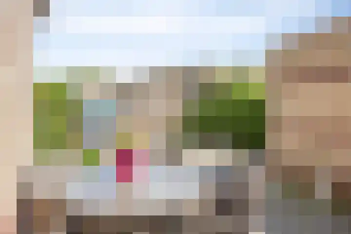 Papaverstraat 78 Zelhem thumbnail 24