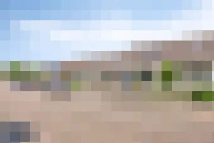 Papaverstraat 78 Zelhem thumbnail 4
