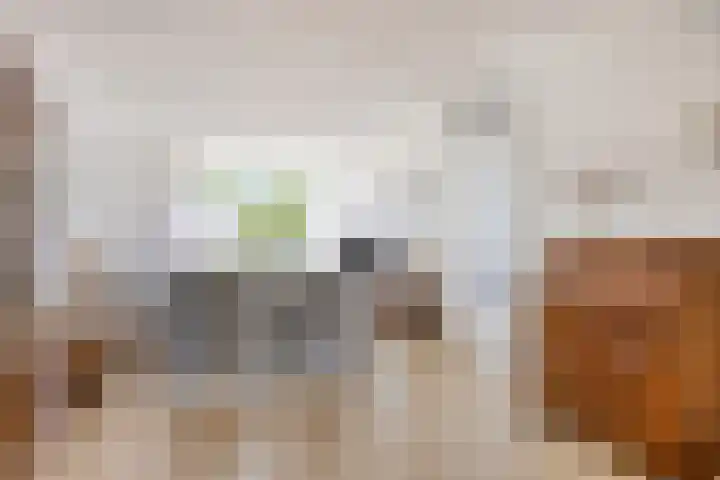 Papaverstraat 78 Zelhem thumbnail 7