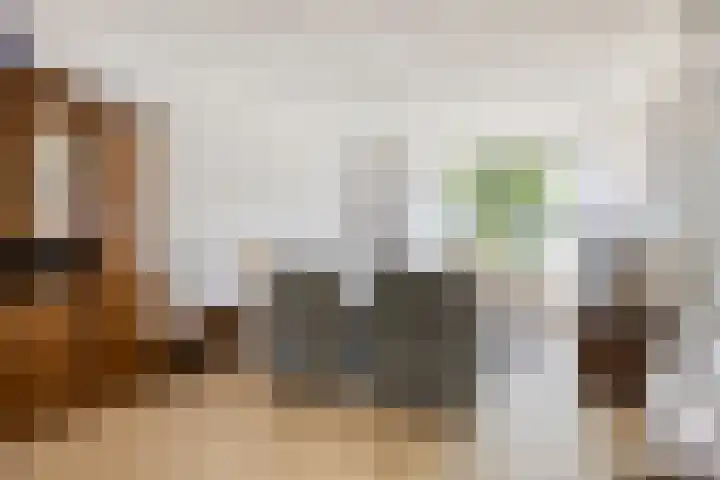 Papaverstraat 78 Zelhem thumbnail 8