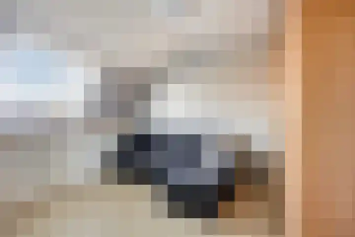Papaverstraat 8 Purmerend thumbnail 18