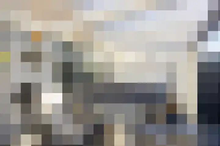 Papaverstraat 8 Purmerend thumbnail 21