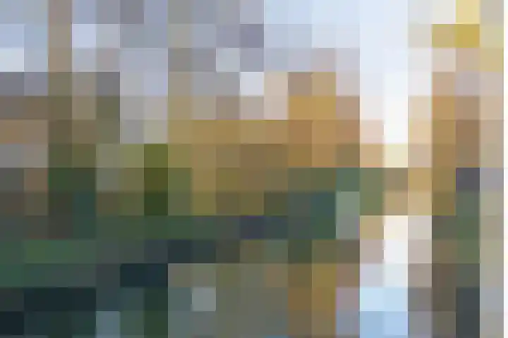 Papaverstraat 8 Purmerend thumbnail 24