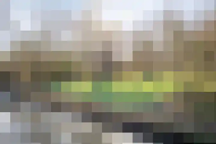 Papaverstraat 8 Purmerend thumbnail 25