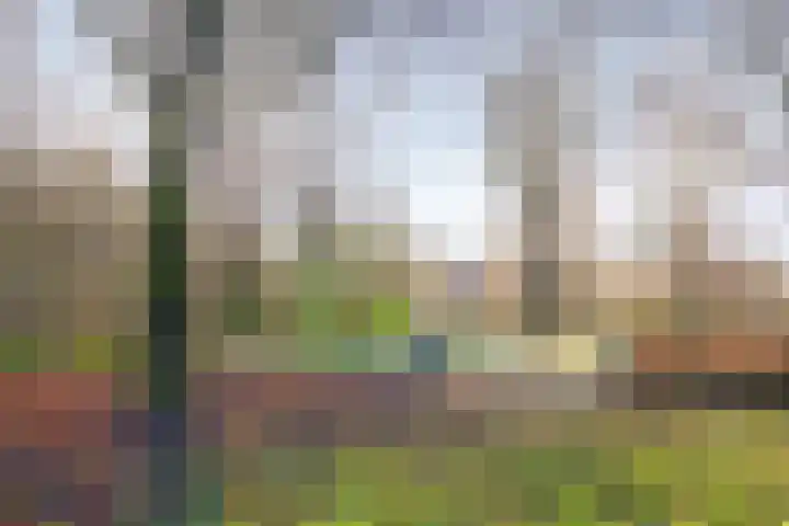 Papaverstraat 8 Purmerend thumbnail 26