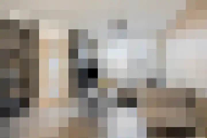 Papaverstraat 8 Purmerend thumbnail 9