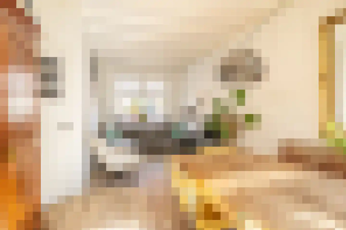 Papaverstraat 8 Zwolle thumbnail 11