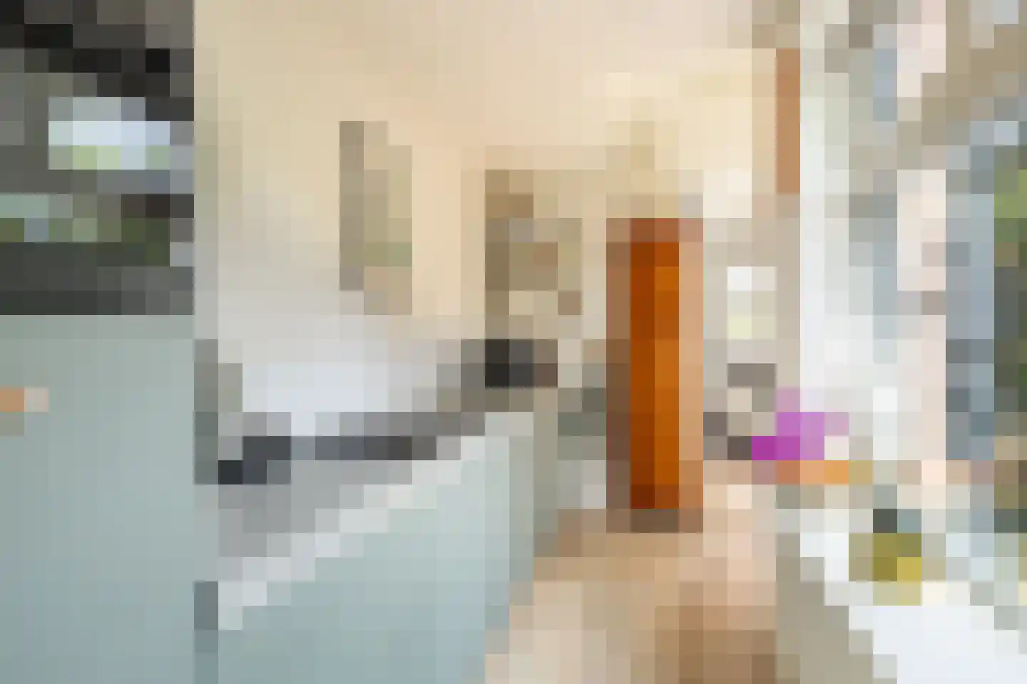 Papaverstraat 8 Zwolle thumbnail 15