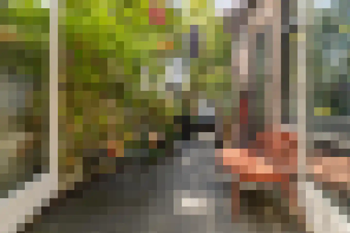 Papaverstraat 8 Zwolle thumbnail 17