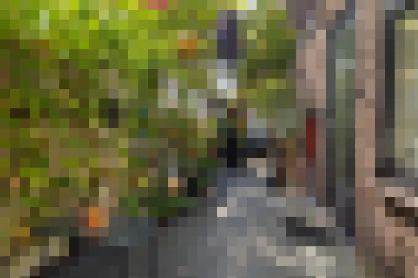 Papaverstraat 8 Zwolle thumbnail 18