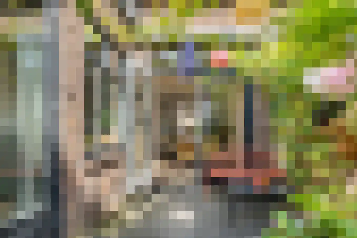 Papaverstraat 8 Zwolle thumbnail 20