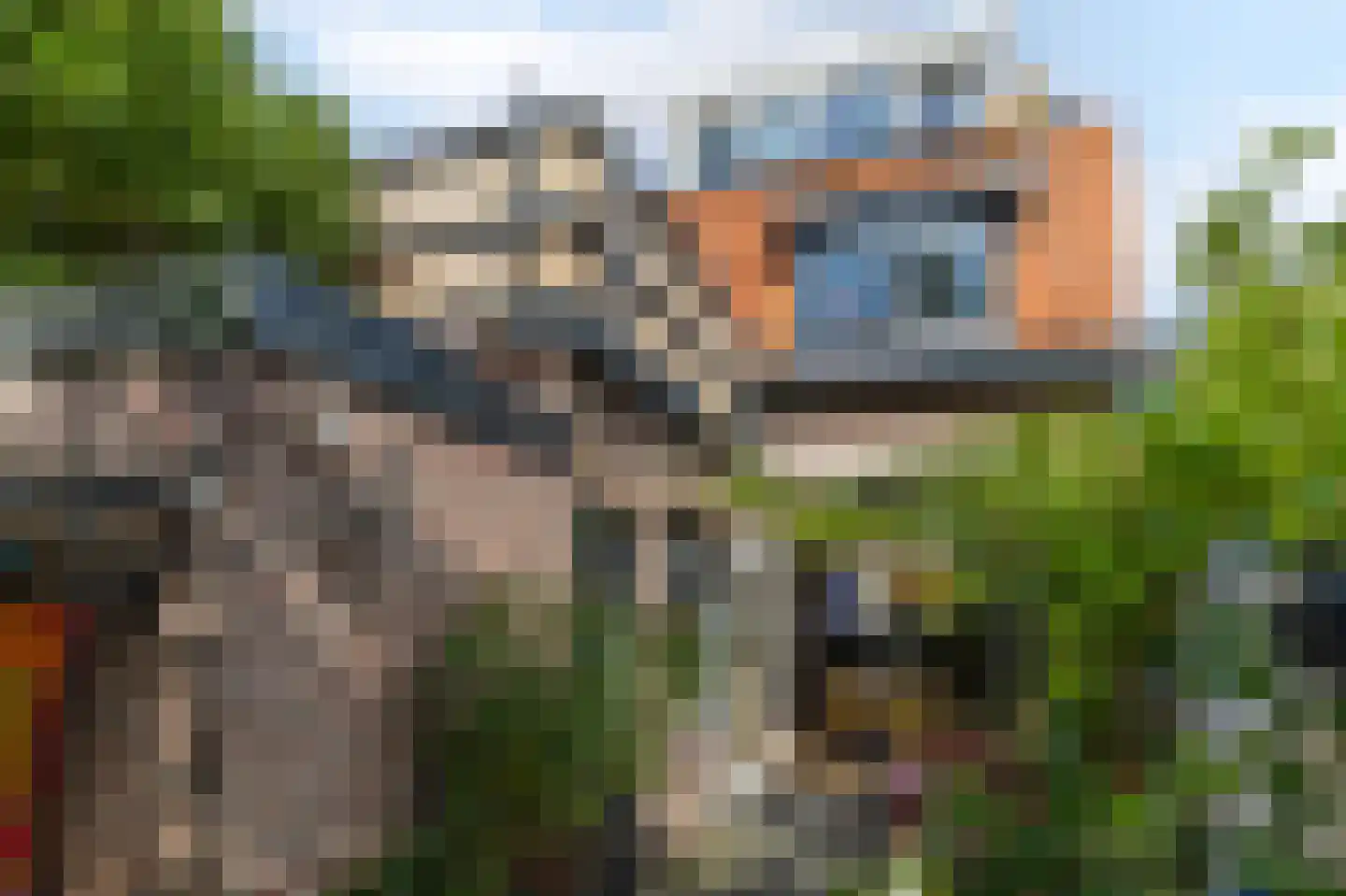 Papaverstraat 8 Zwolle thumbnail 22