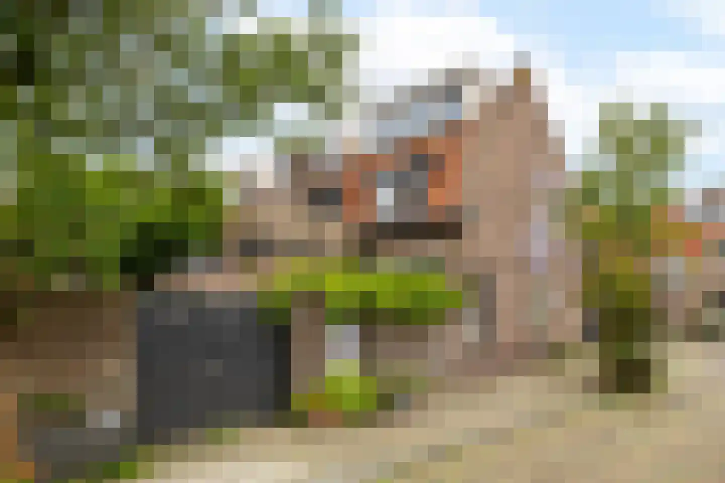 Papaverstraat 8 Zwolle thumbnail 23