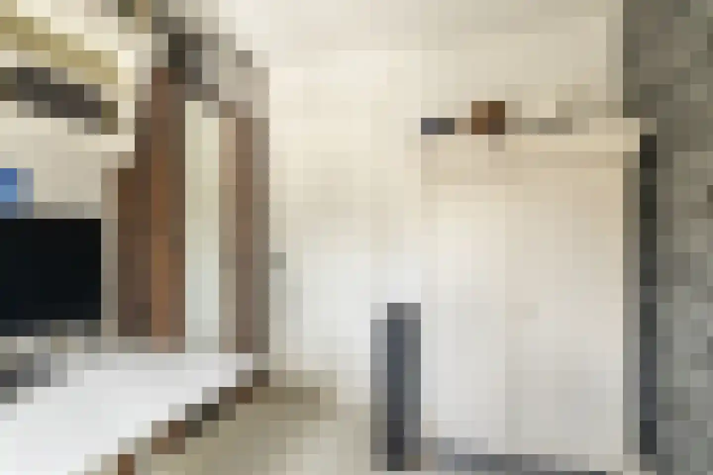 Papaverstraat 8 Zwolle thumbnail 29