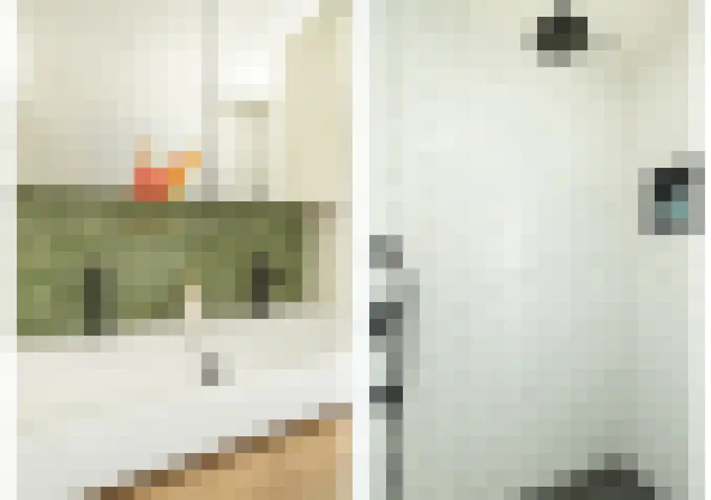 Papaverstraat 8 Zwolle thumbnail 31