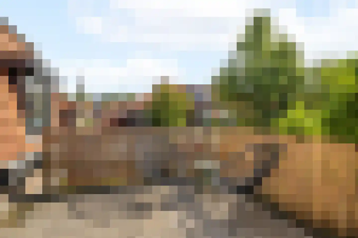 Papaverstraat 8 Zwolle thumbnail 33