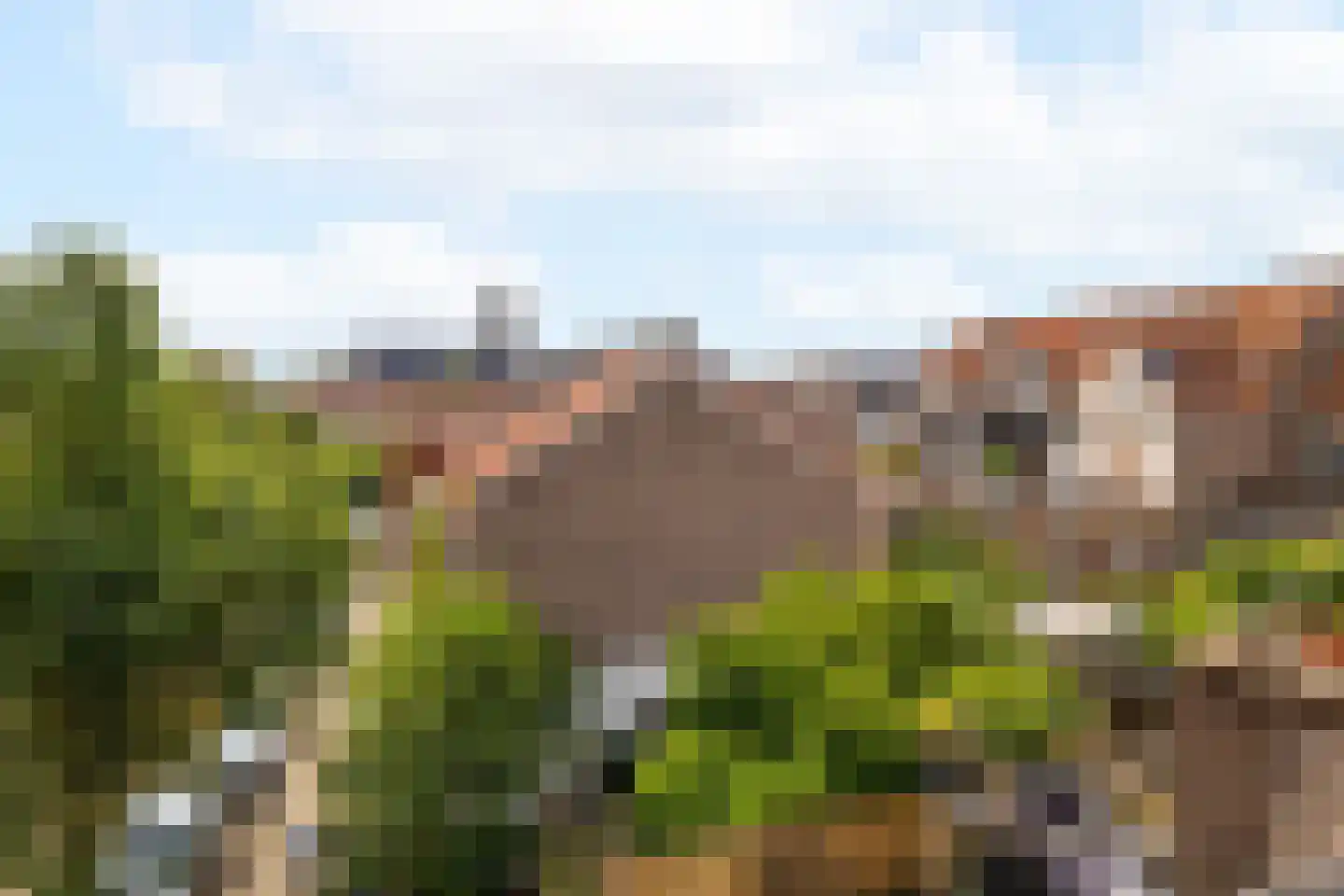 Papaverstraat 8 Zwolle thumbnail 34
