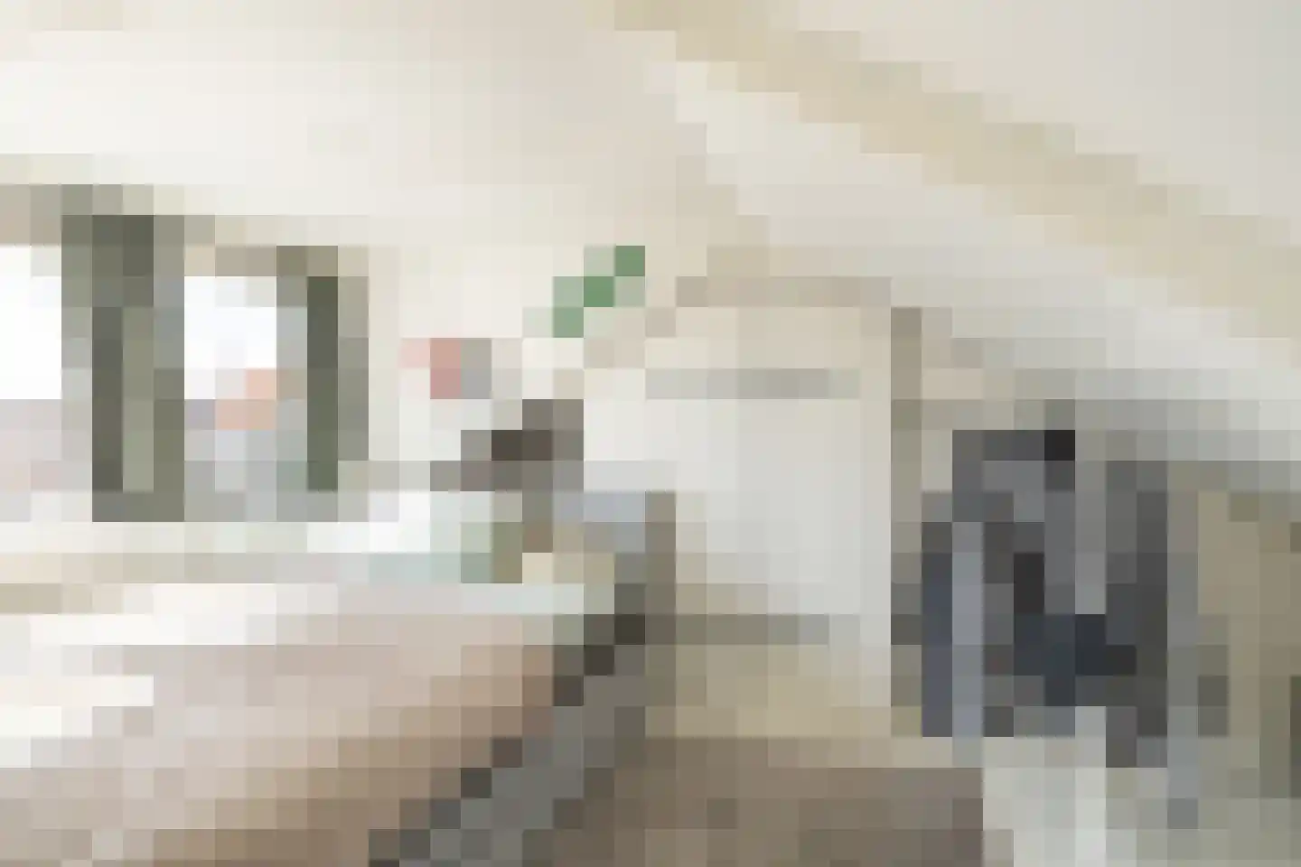 Papaverstraat 8 Zwolle thumbnail 35