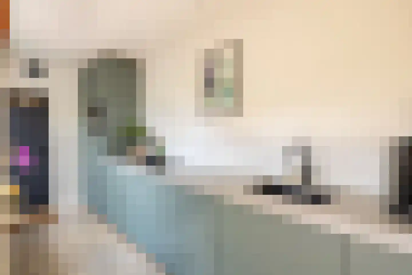 Papaverstraat 8 Zwolle thumbnail 4