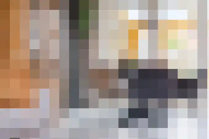 Papaverstraat 9 Oudeschoot thumbnail 15