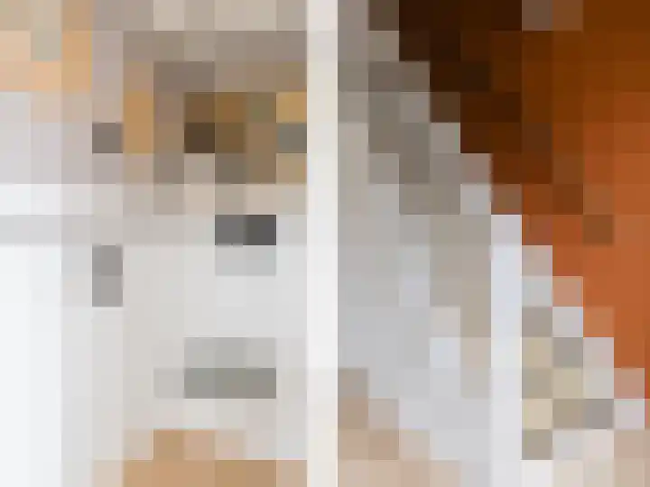 Papaverstraat 9 Oudeschoot thumbnail 19