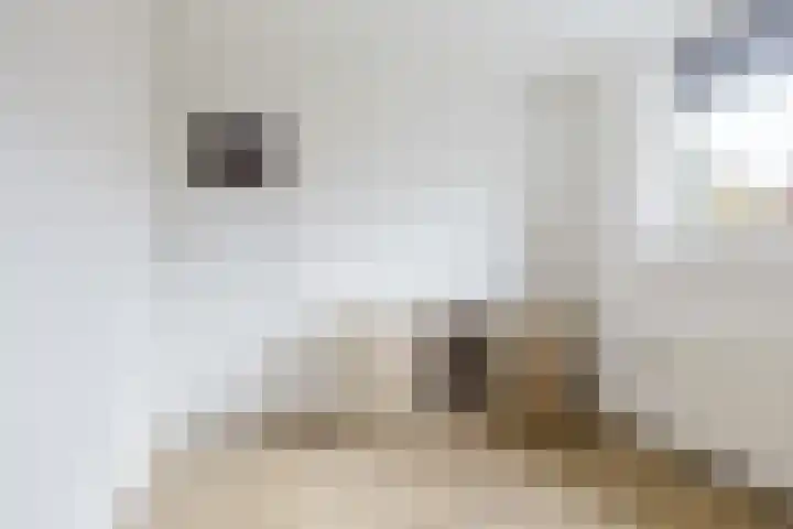 Papaverstraat 9 Oudeschoot thumbnail 24