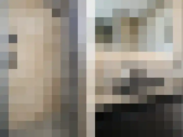 Papaverstraat 9 Oudeschoot thumbnail 27
