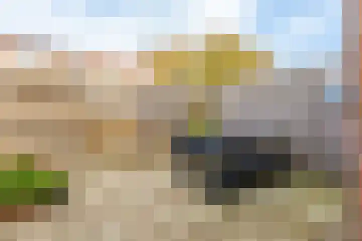Papaverstraat 9 Oudeschoot thumbnail 32