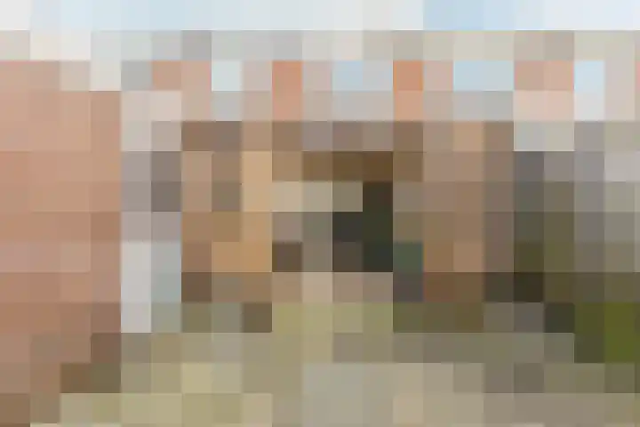 Papaverstraat 9 Oudeschoot thumbnail 33