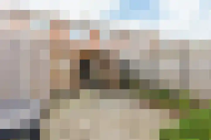 Papaverstraat 9 Oudeschoot thumbnail 34