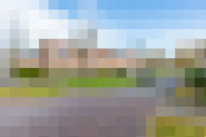 Papaverstraat 9 Oudeschoot thumbnail 35