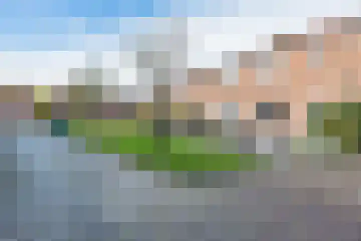Papaverstraat 9 Oudeschoot thumbnail 5