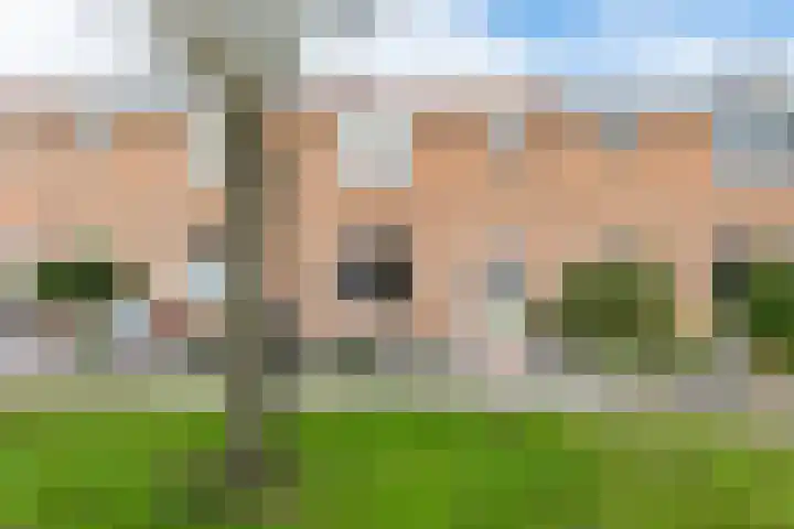 Papaverstraat 9 Oudeschoot thumbnail 7