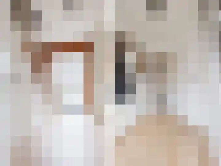 Papaverstraat 9 Oudeschoot thumbnail 8