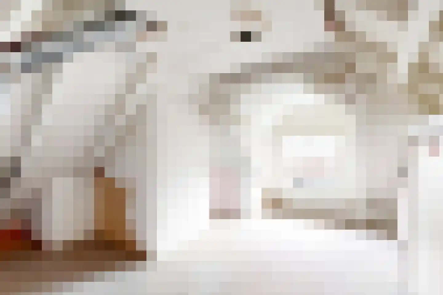 Papaverstraat 9 Purmerend thumbnail 20