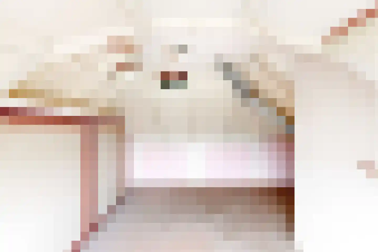 Papaverstraat 9 Purmerend thumbnail 21