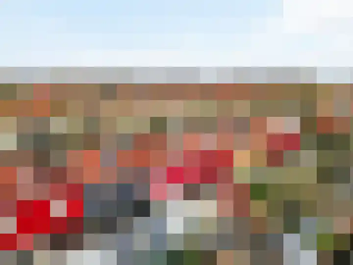 Papaverstraat 9 Purmerend thumbnail 33