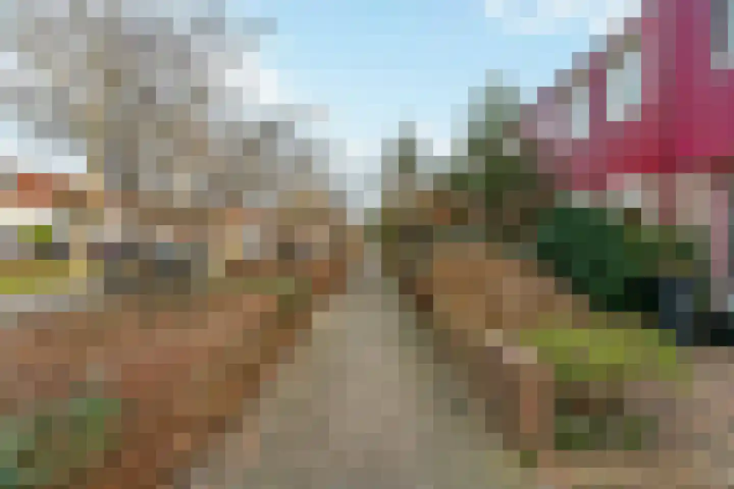 Papaverstraat 9 Purmerend thumbnail 41