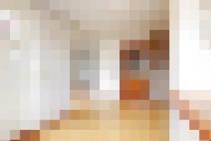 Papaverstraat 9 Purmerend thumbnail 9