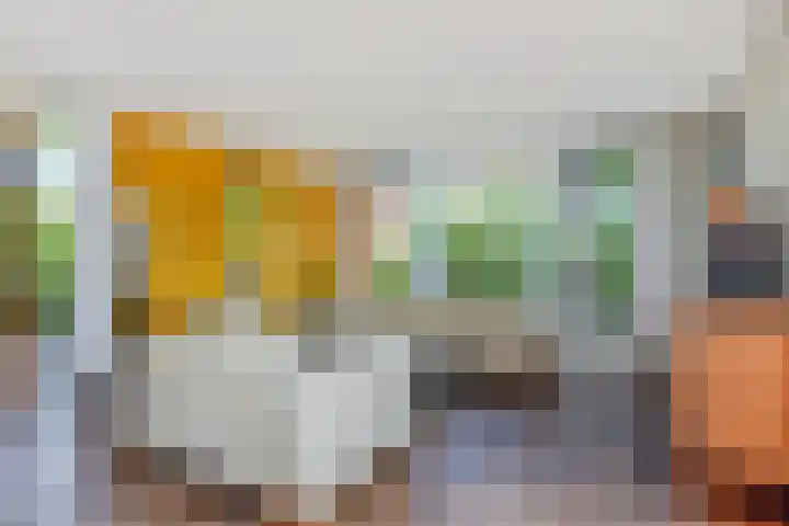 Papavertuin 14 Bergschenhoek thumbnail 10
