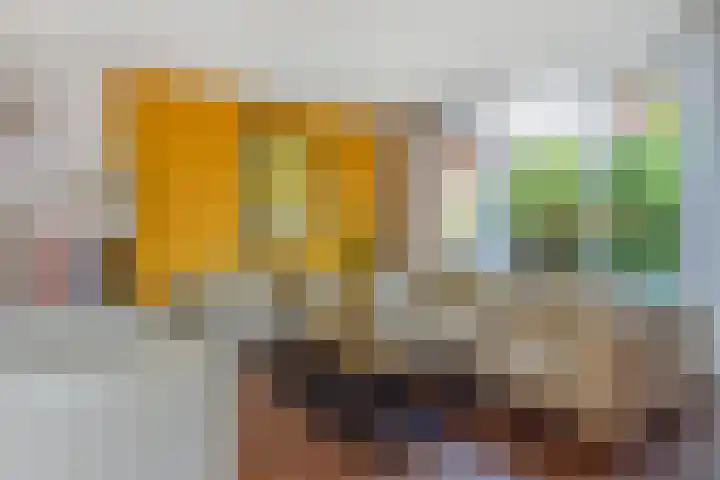 Papavertuin 14 Bergschenhoek thumbnail 11
