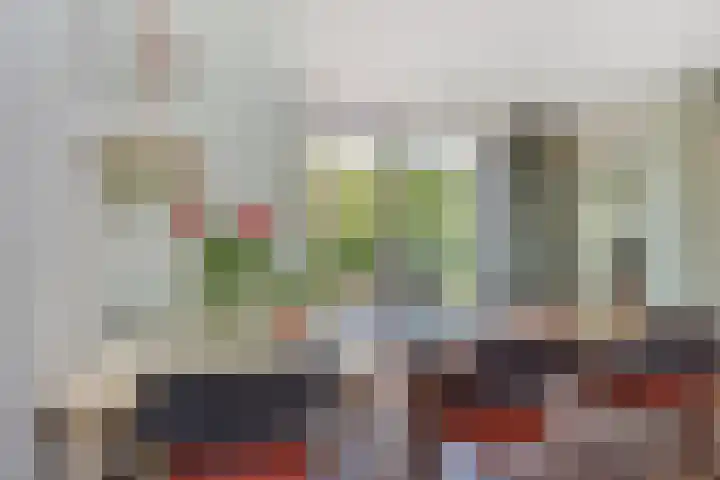 Papavertuin 14 Bergschenhoek thumbnail 15