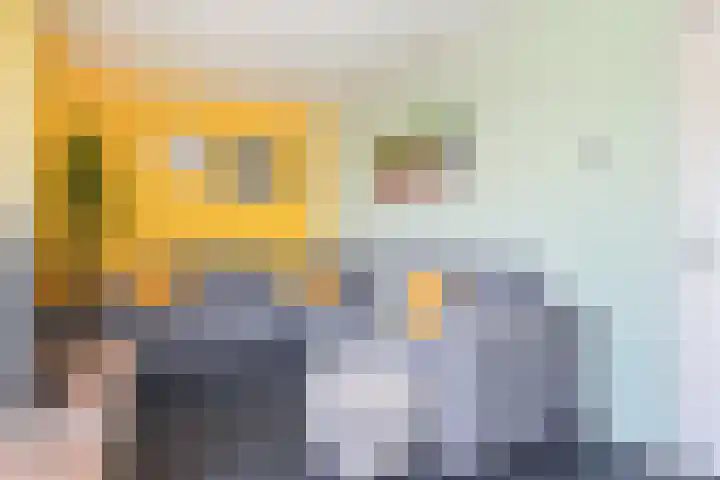 Papavertuin 14 Bergschenhoek thumbnail 4