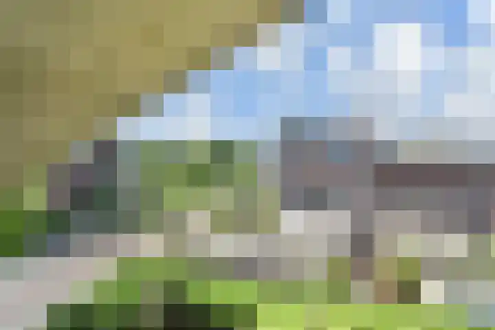 Papavertuin 14 Bergschenhoek thumbnail 42