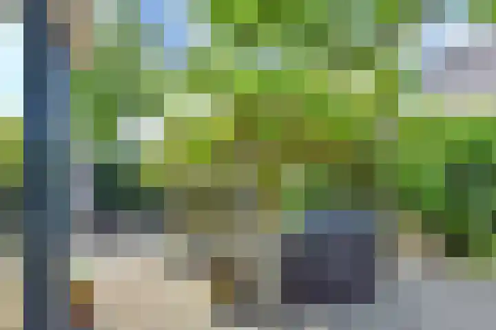 Papavertuin 14 Bergschenhoek thumbnail 47